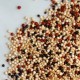 Mix de Quinoa  (100 g Granel)